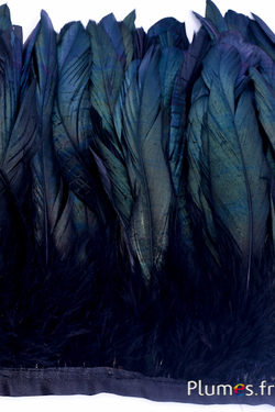 Col coq fouet - long. plumes 20-25 cm - noir hirondelle